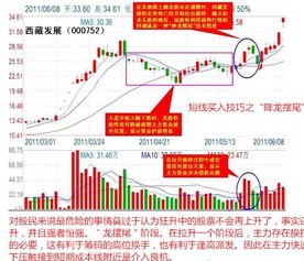 高股息板块市场波动中的稳定器与投资主线