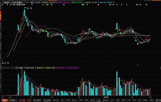 川恒股份：截止月日，公司股东为户