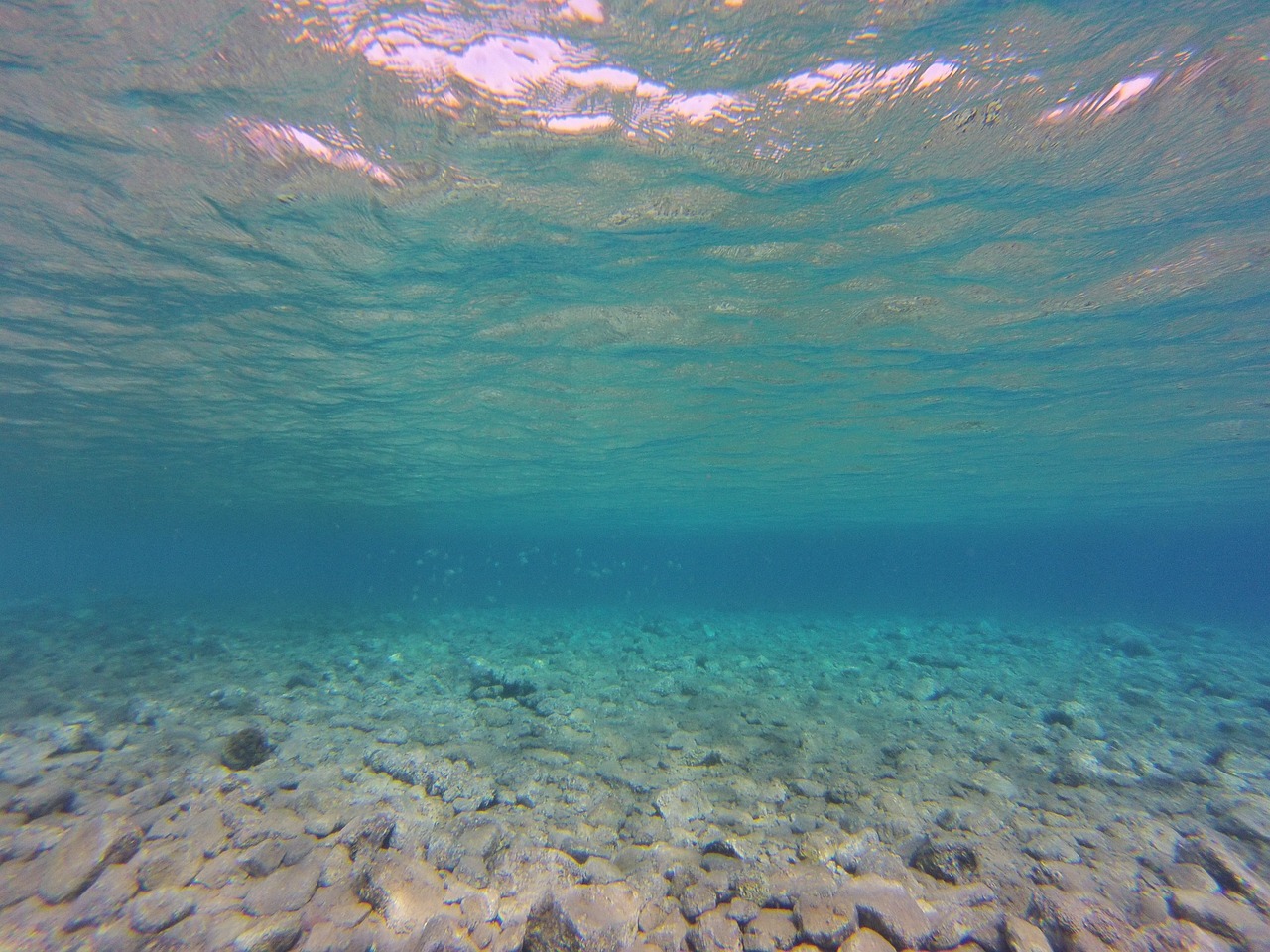 梦境中的海潮涌动，潜意识的海洋之旅