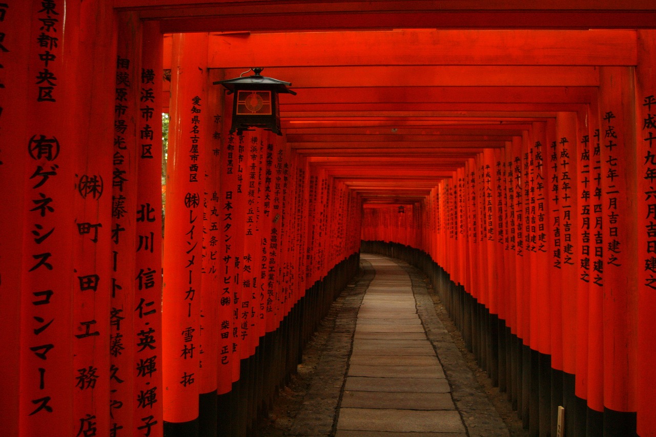 智利女网红在日本神社做引体向上，文化尊重与界限的反思