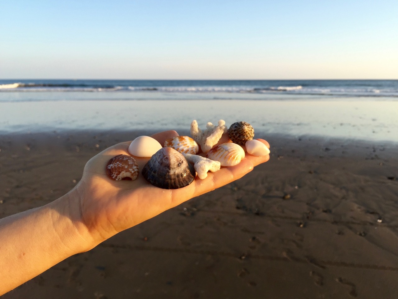 穿越时光的热浪，2017年的初伏，那个夏天的记忆碎片