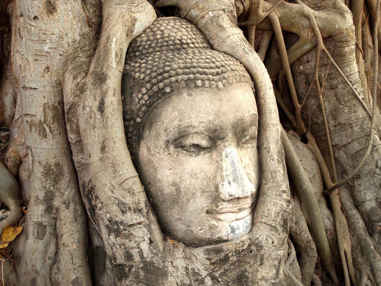 揭秘！中国那些让人头皮发麻的十大神秘事件——探索东方奇观的奇异旅程